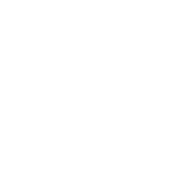 fingerprint